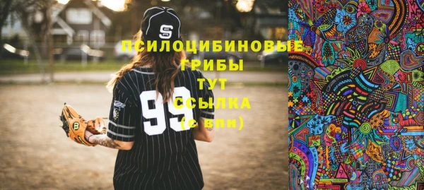 гидра Богданович
