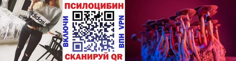 Псилоцибиновые грибы Psilocybe  магазин продажи наркотиков  Волжск 